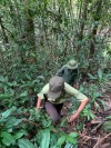 Tăng cường tuần tra bảo vệ rừng tại Tiểu khu 188, lâm phần Ban QLRPH Bù Đăng