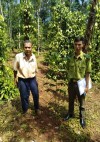 Hạt Kiểm lâm huyện Bù Đốp tổ chức kiểm tra tỉ lệ cây trồng, tỉ lệ cây sống của chương trình trồng cây xanh năm 2022