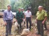 Hạt Kiểm lâm Đồng Phú thả động vật rừng về môi trường tự nhiên.