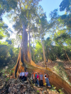 Quản lý, phát triển và nâng cao hiệu quả kinh tế rừng gắn với phát triển du lịch tỉnh Bình Phước.