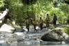 Những trăn trở của lực lượng Kiểm lâm Rừng đặc dụng Vườn Quốc gia Bù Gia Mập