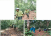 Tổ Liên ngành bảo vệ rừng huyện Bù Đăng tuần tra bảo vệ rừng