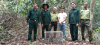 Hạt Kiểm lâm huyện Đồng Phú thả động vật rừng nguy cấp, quý, hiếm về môi trường tự nhiên