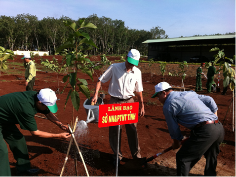 Phó Giám đốc Sở Nông nghiệp và PTNT Nguyễn Phú Quới trồng cây tại buổi Lễ phát động