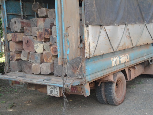 Xe ô tô 60N-0843 vận chuyển gỗ giáng hương trái pháp luật