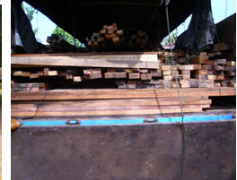 Bắt giữ gần 900 thanh gỗ xẻ được vận chuyển trái phép