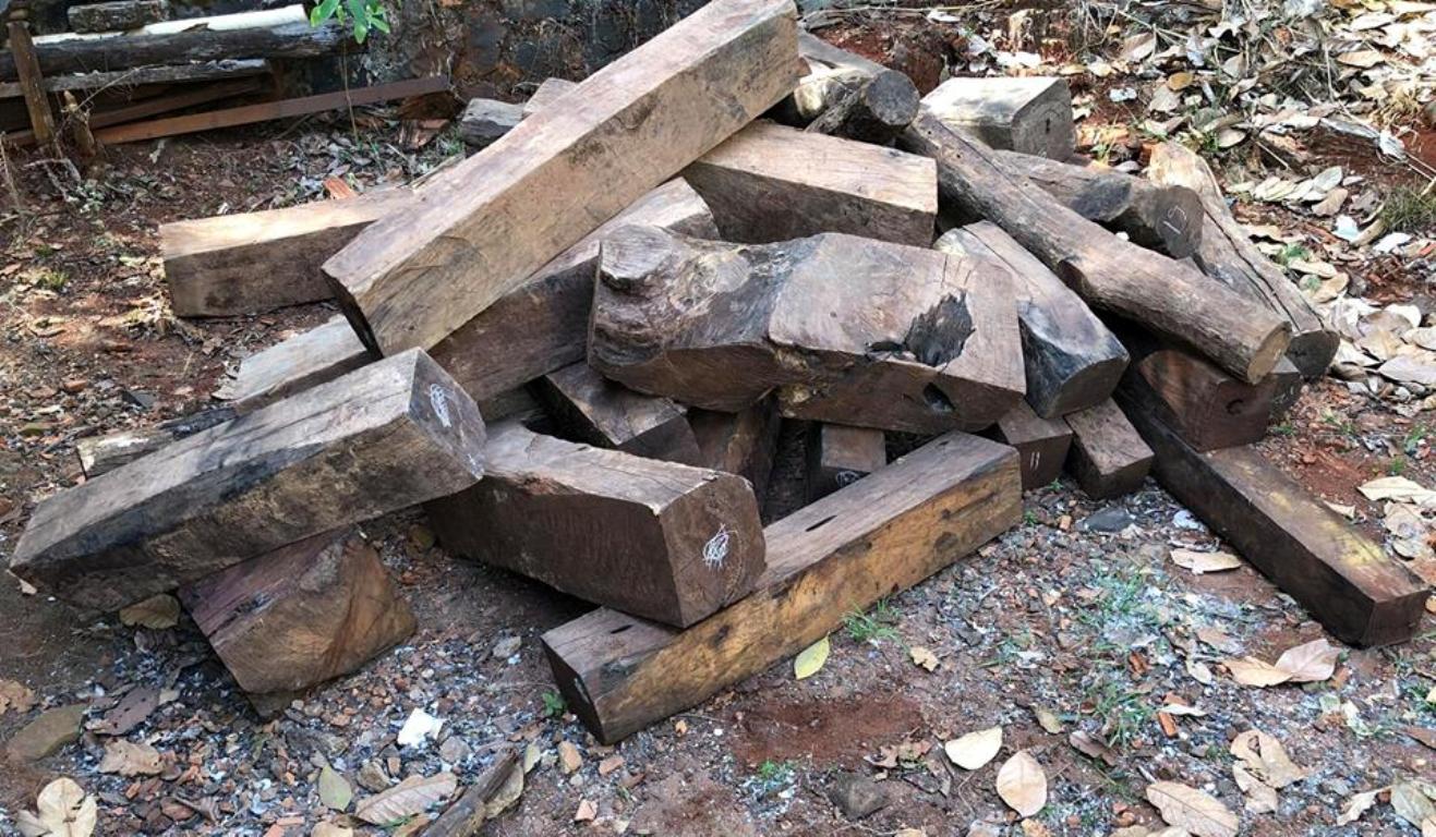 Hình ảnh: 46 hộp gỗ xè Giáng hương, Gõ mật và Da đá từ nhóm IIA - II không rõ nguồn gốc