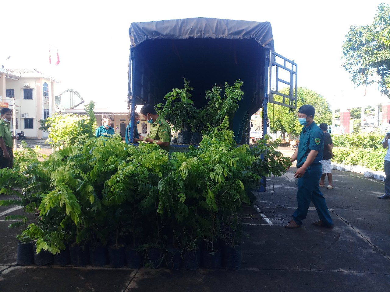 Hạt Kiểm lâm huyện Bù Đốp thực hiện bàn giao 30.000 cây xanh trồng phân tán cho các tổ chức, cá nhân, hộ gia đình trên địa bàn huyện.