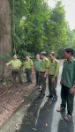 Hạt Kiểm lâm huyện Lộc Ninh tái thả động vật hoang dã về với môi trường tự nhiên