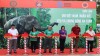 KHAI MẠC TUẦN LỄ BẢO TỒN VOI NĂM 2025