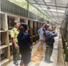 Tăng cường kiểm tra các cơ sở nuôi động vật hoang dã; tuyên truyền phổ biến pháp luật các Thông tư quy định về quản lý lâm sản xử lý lâm sản trên địa bàn quản lý